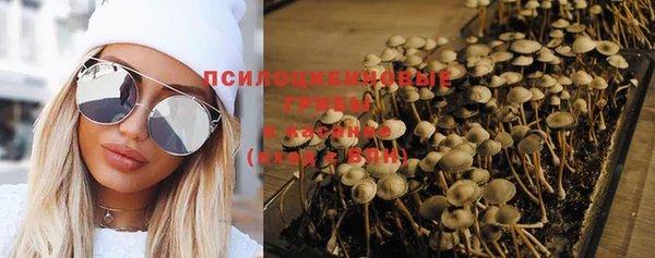 PSILOCYBIN Краснослободск