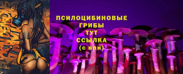 прущие крисы Краснотурьинск