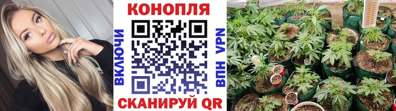 МЕГА ССЫЛКА  Новоржев  Шишки марихуана AK-47  купить наркоту 